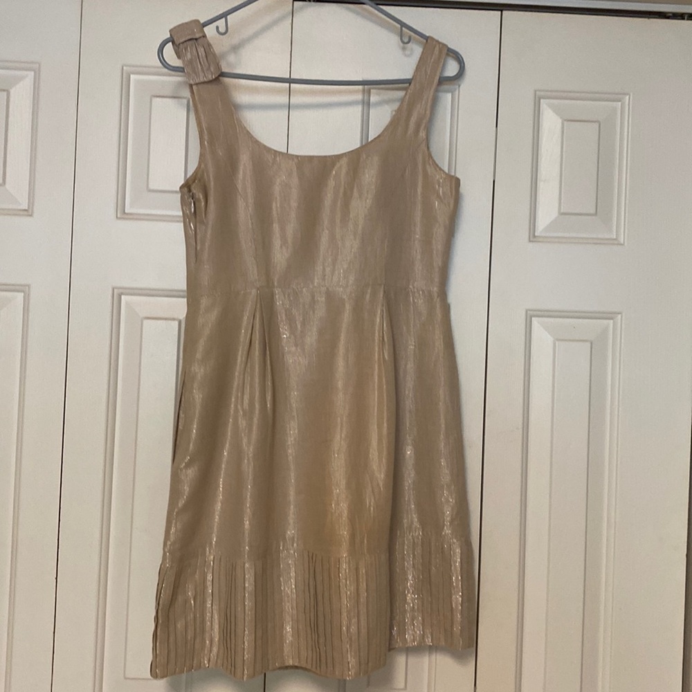 Yoana Baraschi classic size 4 beige beautiful Metallic dress.